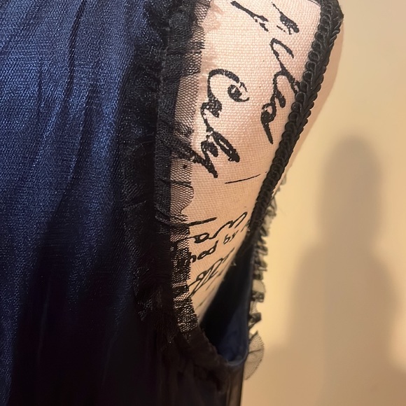 Rare Anthropologie Stilled Night Lace and Tulle Dress Small - Picture 4 of 7